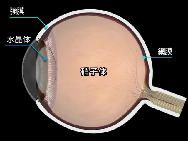 眼球